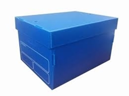 Imagen de Caja archivadora cartonplast