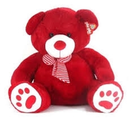 Imagen de Oso Premium grande 1metro