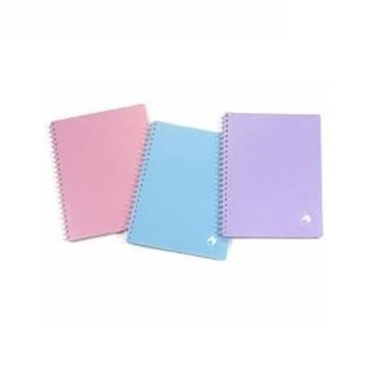 Imagen de Cuaderno caballito a5 100h pastel