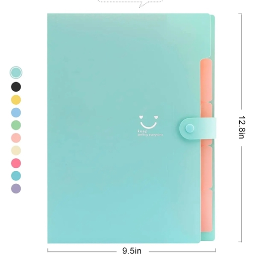 Imagen de Carpeta c/ divisiones pastel