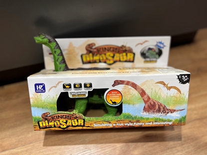 Imagen de Dinosaurio con luz            /48