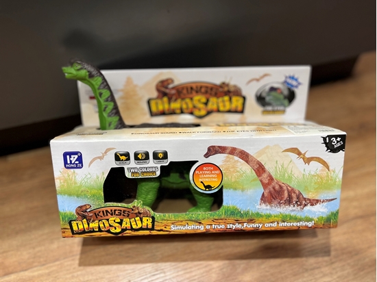 Imagen de Dinosaurio con luz            /48