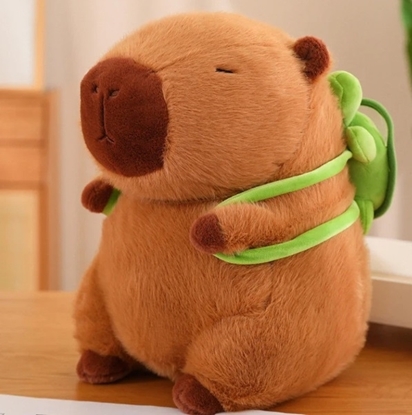 Imagen de Capibara peluche con tortuguita  20CM   /120