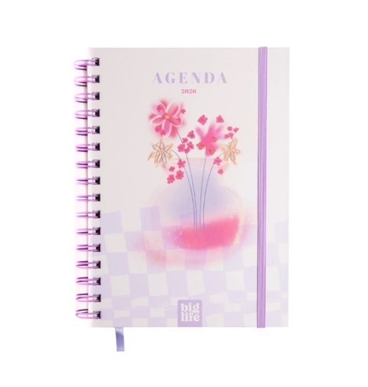 Imagen de Agenda big life deco s/v 15x21 162pag 2026