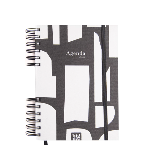 Imagen de Z Agenda big life monocromatica 2 d/p 15x21 372pag 2026