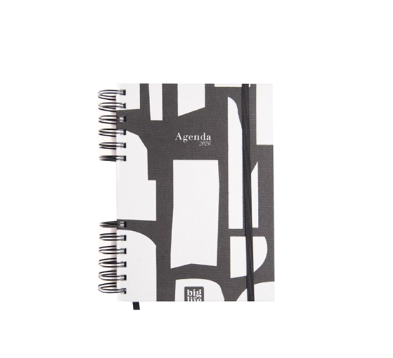 Imagen de Agenda big life monocromatica 2 d/p 10x15 372pag 2026
