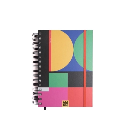 Imagen de Agenda big life punchy 1 d/p 10x15 372pag 2026