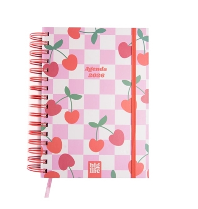 Imagen de Agenda big life retro pastel d/p 15x21 372pag 2026