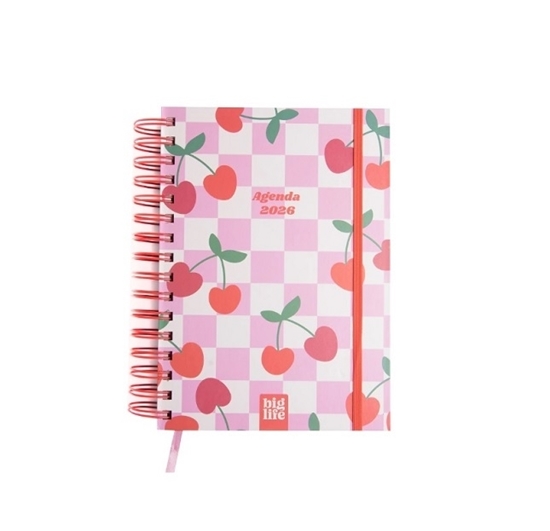 Imagen de Agenda big life retro pastel d/p 10x15 372pag 2026