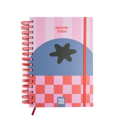 Imagen de Agenda big life retro pastel s/v 15x21 162pag 2025