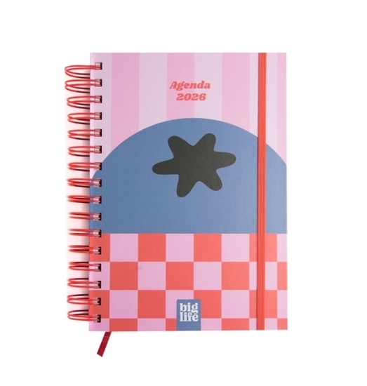 Imagen de Z Agenda big life retro pastel s/v 15x21 162pag 2025