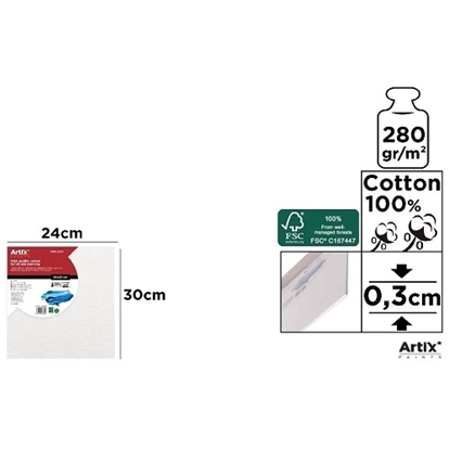 Imagen de Carton telado 24x30x0.3 280gr artix