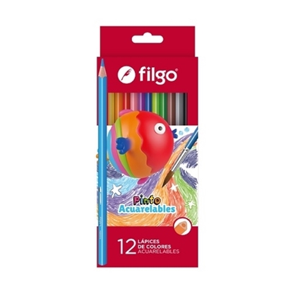 Imagen de color Filgo acuarelable x 12