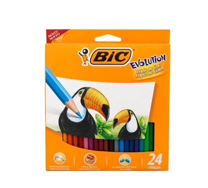 Imagen de Color bic Evolution 24 unidades