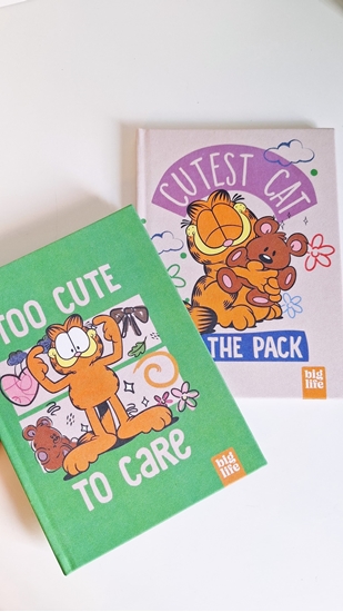 Imagen de Cuaderno big life cosido garfield rayado