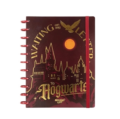 Imagen de Cuadernola mooving con discos harry potter loops