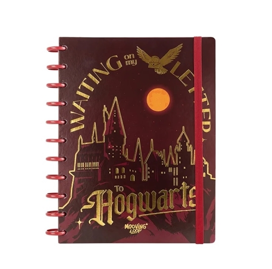 Imagen de Cuadernola mooving con discos harry potter loops