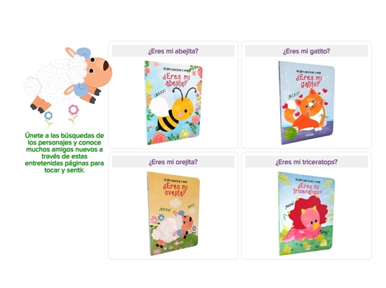 Imagen de Libro un libro para tocar y sentir