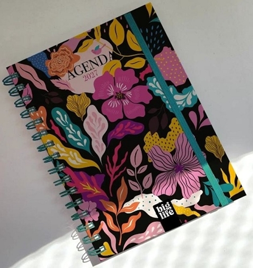 Imagen de Agenda big life big-memories dia a dia  16x22cm