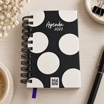 Imagen de Agenda big life lunares dia dia 10x15cm
