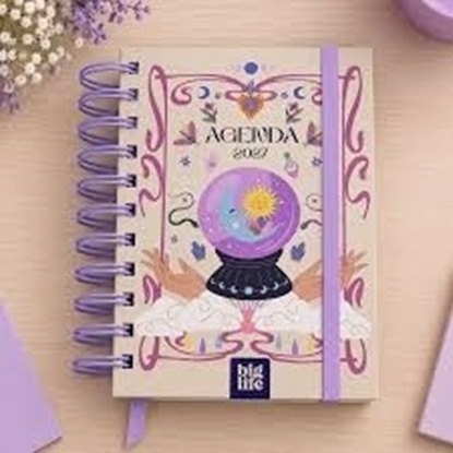Imagen de Agenda big life oraculo dia a dia 10x15cm