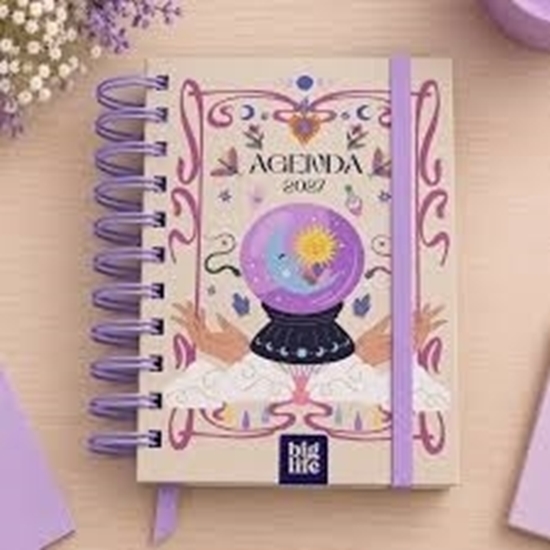 Imagen de Agenda big life oraculo dia a dia 10x15cm