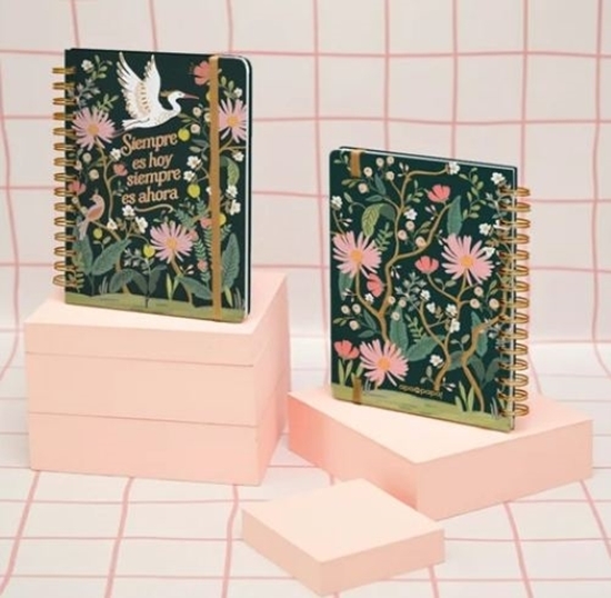 Imagen de Cuaderno apa la papa a5 t/d - aves