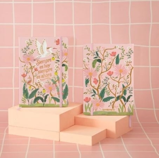 Imagen de Cuaderno apa la papa a5 cosido t/d - aves