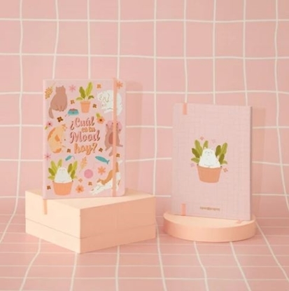 Imagen de Cuaderno apa la papa a5 cosido t/d - gatitos