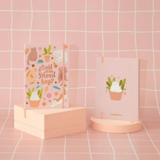 Imagen de Cuaderno apa la papa a5 cosido t/d - gatitos