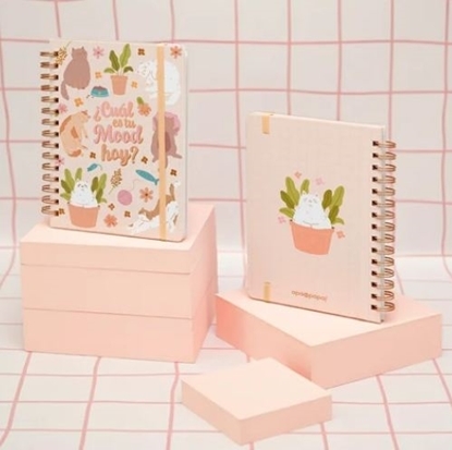 Imagen de Cuaderno apa la papa a5 t/d - gatitos
